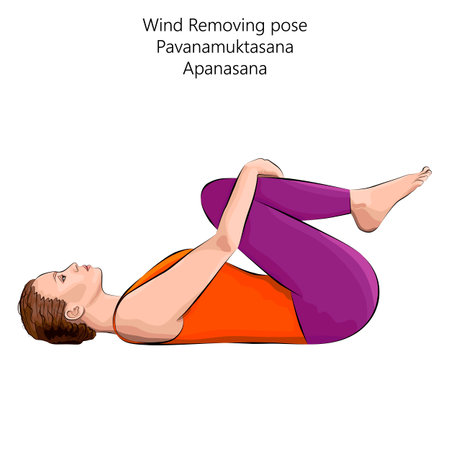 Young woman practicing yoga exercise, doing Wind Removing or Wind Relieving pose. Pavanamuktasana. Apanasana. Vector illustration isolated on white background.のイラスト素材