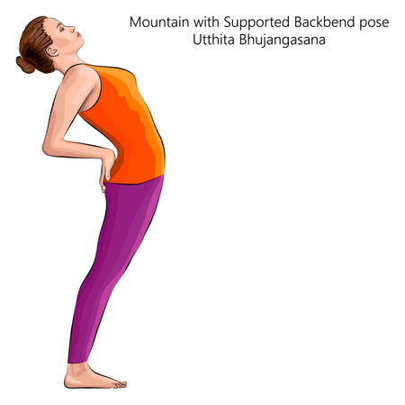 Young woman practicing yoga exercise, doing Mountain with Supported Backbend pose or Standing Cobra pose. Utthita Bhujangasana. Standing and Backbend. Vector illustration isolated on white background.のイラスト素材