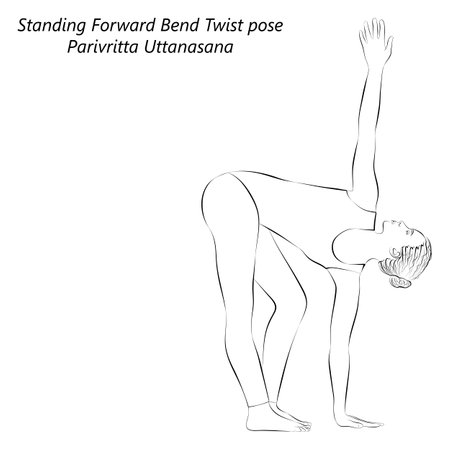 Sketch of young woman practicing yoga, doing Standing Forward Bend Twist pose or Twisted Forward Bend pose. Parivritta Uttanasana. Vector illustration isolated on transparent background.のイラスト素材