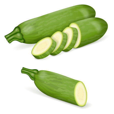 Whole and chopped Aehobak or Korean zucchini or Korean courgette. Summer squash. Cucurbita pepo. Fruits and vegetables. Vector illustration isolated on white background.のイラスト素材