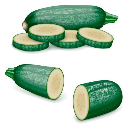 Whole and chopped Cousa or Kousa squash or Magda squash. Summer squash. Cucurbita moschata. fruits and vegetables. Vector illustration isolated on white background.のイラスト素材