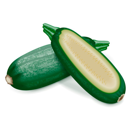 Whole and half of Cousa or Kousa squash or Magda squash. Summer squash. Cucurbita moschata. fruits and vegetables. Vector illustration isolated on white background.の写真素材