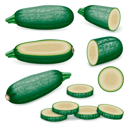 Set of Cousa or Kousa squash or Magda squash. Summer squash. Cucurbita moschata. fruits and vegetables. Vector illustration isolated on white background.の写真素材