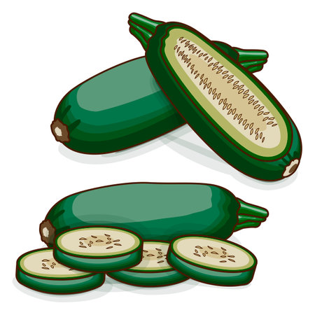 Whole and chopped Cousa or Kousa squash or Magda squash. Summer squash. Cucurbita moschata. fruits and vegetables. Clipart. Vector illustration isolated on white background.のイラスト素材