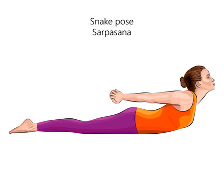Young woman practicing yoga exercise, doing Snake pose. Sarpasana. Prone and backbend. beginner. Isolated vector illustration.のイラスト素材