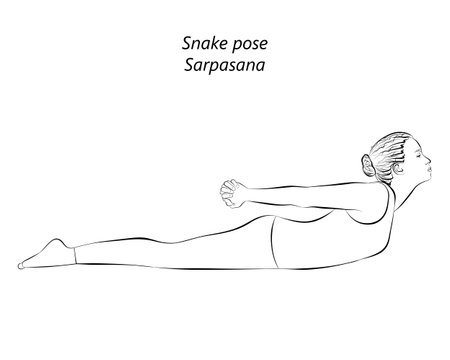 Sketch of young woman practicing yoga, doing Snake pose. Sarpasana. Prone and backbend. beginner. Isolated vector illustration.のイラスト素材