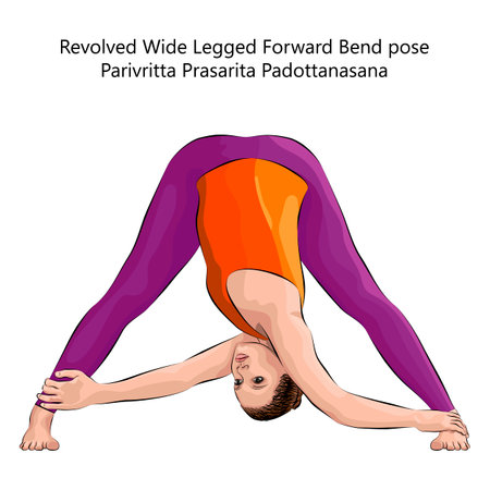 Yoga pose. Parivritta Prasarita Padottanasana. Revolved Wide Legged Forward Bend pose. Intermediate Difficulty. Isolated vector illustration.のイラスト素材