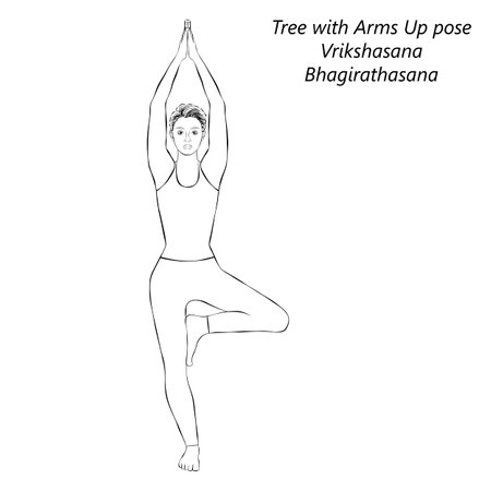 Sketch of young woman doing yoga Vrikshasana. Tree with Arms Up pose. Isolated vector illustration.のイラスト素材