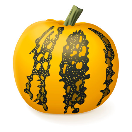 Styrian oil pumpkin. Winter squash. Cucurbita pepo. var. Styriaca. Fruits and vegetables. Isolated vector illustration.のイラスト素材