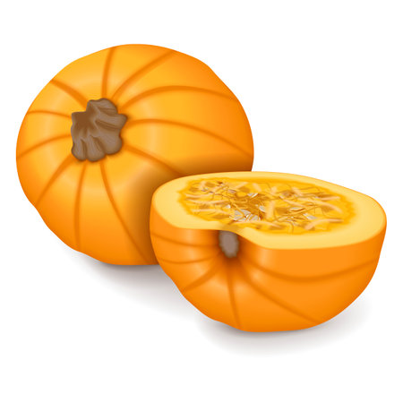 Whole and chopped Sugar Pie Pumpkins. Winter squash. Cucurbita pepo. Fruits and vegetables. Isolated vector illustration.のイラスト素材