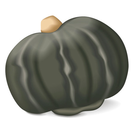 Bonbon Squash. Winter squash. Cucurbita maxima. Fruits and vegetables. Isolated vector illustration.のイラスト素材