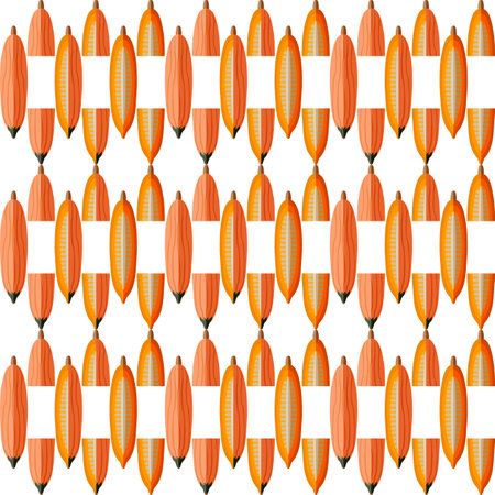 Seamless pattern with Georgia candy roaster squash. Winter squash. Cucurbita maxima. Fruit and vegetables. Flat style. Isolated vector illustration.のイラスト素材