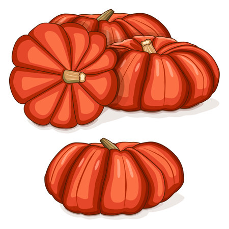 Group of Cinderella pumpkin. Rouge Vif D'Etampes. Winter squash. Cucurbita maxima. Fruits and vegetables. Clipart. Isolated vector illustration.のイラスト素材