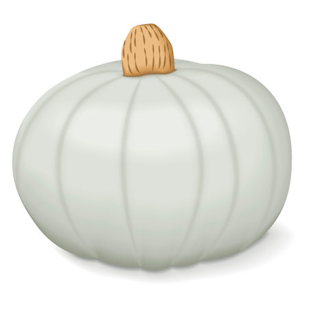 Crown Prince Squash. Winter squash. Cucurbita maxima. Fruits and vegetables.のイラスト素材