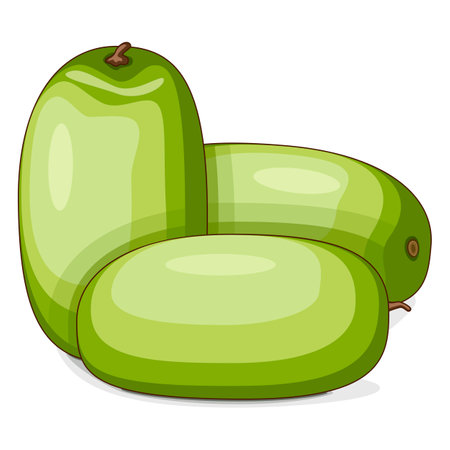 Group of Ali Baba Watermelon. Citrullus lanatus. Fruits and vegetables. Clipart. Isolated vector illustration.のイラスト素材