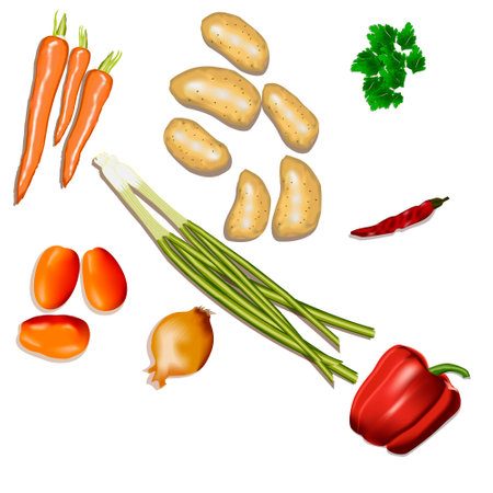 Vegetables for soup are potatoes, tomatoes, carrots, paprika, hot pepper, parsley, green onion. Isolated vector illustration.のイラスト素材
