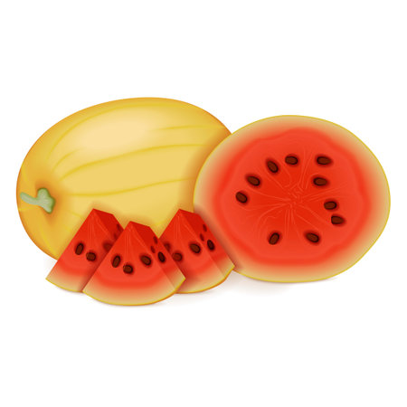 Whole and chopped Faerie watermelon. Citrullus lanatus. Fruits and vegetables. Isolated vector illustration.のイラスト素材