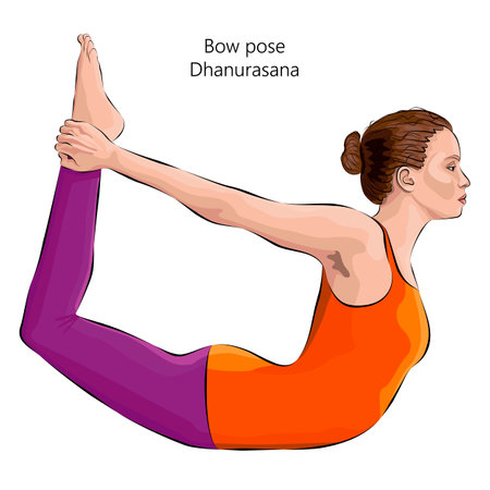 Young woman practicing Dhanurasana yoga pose. Bow pose. Intermediate Difficulty. Isolated vector illustration.のイラスト素材