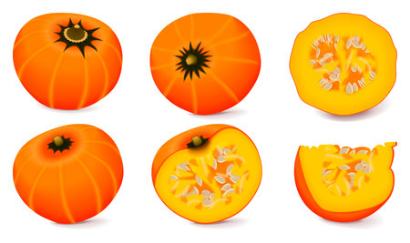 Clip art. Orange buttercup squash. Winter squash. Cucurbita maxima. Fruits and vegetables. Isolated vector illustration.のイラスト素材