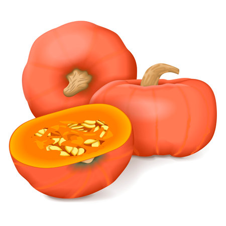 Whole and chopped Sunshine kabocha squash. Winter squash. Cucurbita maxima. Fruits and vegetables. Isolated vector illustration.のイラスト素材