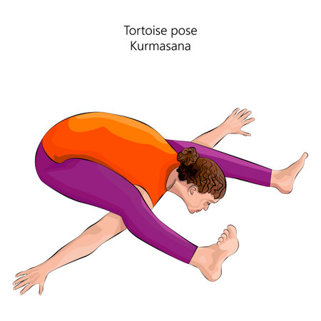 Young woman practicing Kurmasana yoga pose. Tortoise pose. Intermediate Difficulty. Isolated vector illustration.のイラスト素材
