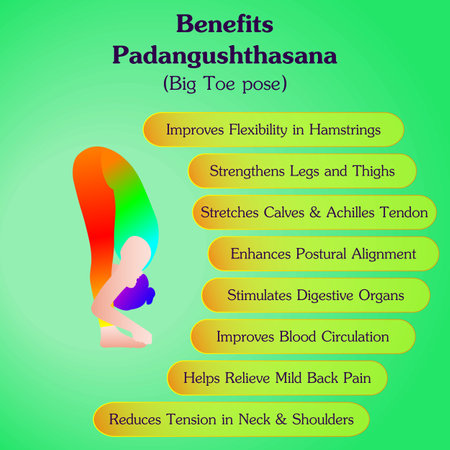 Benefits of practicing Padangushthasana yoga pose. Big Toe yoga pose. Intermediate Difficulty. Isolated vector illustration.のイラスト素材