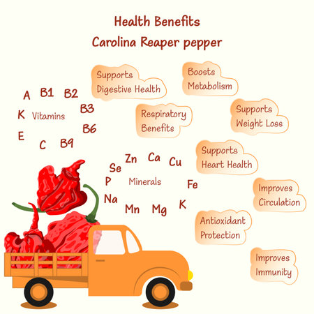 Health benefits and nutrients of Carolina Reaper peppers or HP22B. Chili peppers. . Truck loaded with peppers. Isolated vector illustration.のイラスト素材