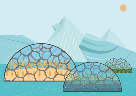 Closed ecological system. Concept of use. A variety of plants: wheat, rice, algaeのイラスト素材