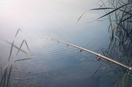 Fishing rod is thrown into a pond durig fishing. Waiting for a fish to be caught.