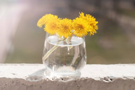 Bouquet of yellow dandelions in a glass of water standing on the edge of balcony in residental area.の写真素材