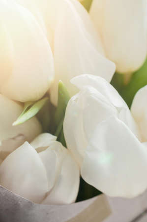 A bouquet of fresh white tulips buds. Macro shot.の写真素材