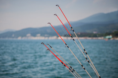 Several fishing rods standing on a deck ready for a sea fishing.の写真素材