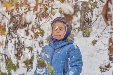 Little boy in a blue outwear having fun in the forest on snowy day