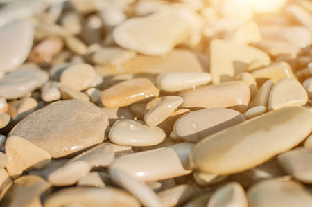 Sea pebble gravel beach, transparent clean sea. View from the top. Selective focus, toned colores.の写真素材