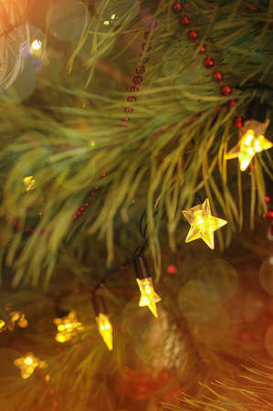 Electrical garland in shape of stars decorating Christmas tree at homeの写真素材