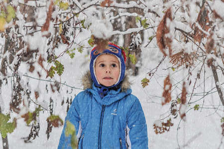 Little boy in a blue outwear having fun in the forest on snowy dayの写真素材