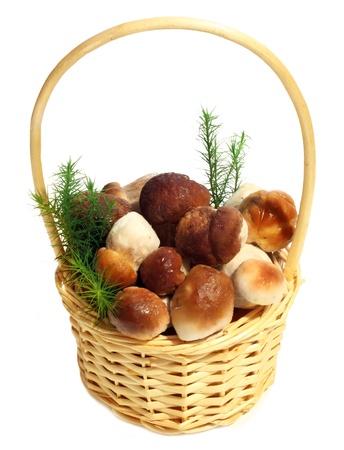 Boletus Edulis mushrooms in straw basket isolated on white background の写真素材