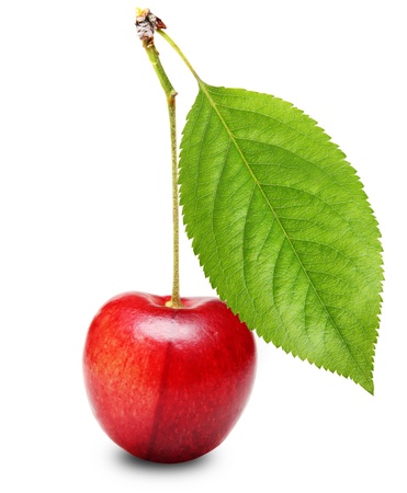 Ripe cherry isolated over whiteの写真素材
