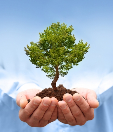 Man hands holding green tree  Ecology conceptの写真素材