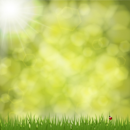 Green blurred backgroundのイラスト素材