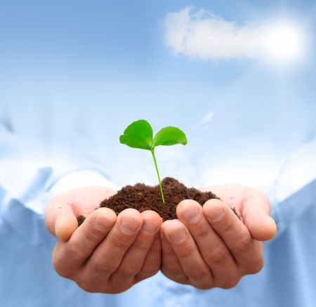 Man hands holding green plant  Ecology conceptの写真素材