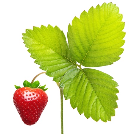 Strawberry  isolated on whiteの写真素材