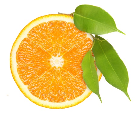 Orange fruit slice isolatedの写真素材