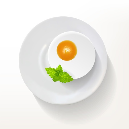 Fried egg on plate  Vector illustration  Gradient mesh used のイラスト素材