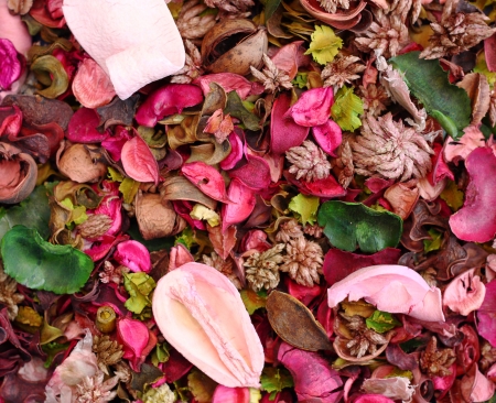 Dried flowers background.の写真素材