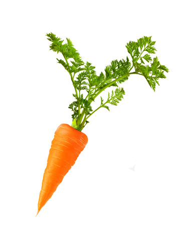 Carrot isolated on white backgroundの写真素材