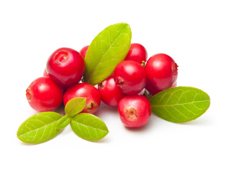 Forest berry cowberry with leaves isolated.の写真素材