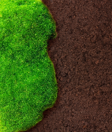 Green grass and soil pattern background.の写真素材