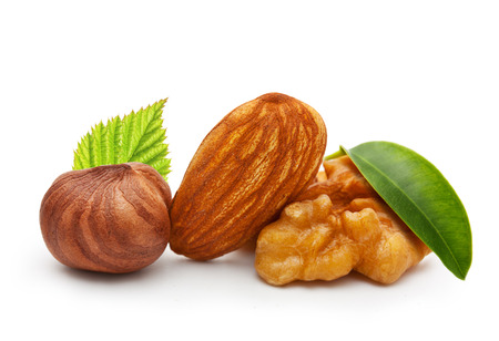 Walnut, almond nut, and hazelnut isolated on white background.の写真素材