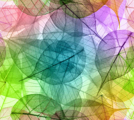Macro leaves seamless background